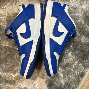 Nike Blue and White Dunks